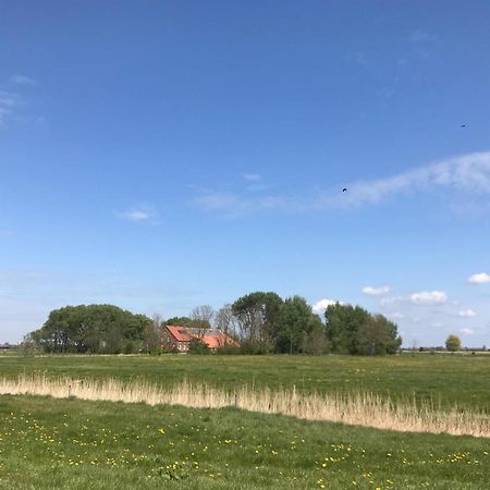 Ferienhof Spiegelhaus Krummhörn Εξωτερικό φωτογραφία