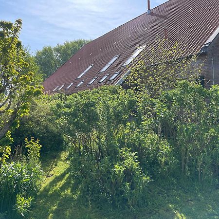 Ferienhof Spiegelhaus Krummhörn Εξωτερικό φωτογραφία